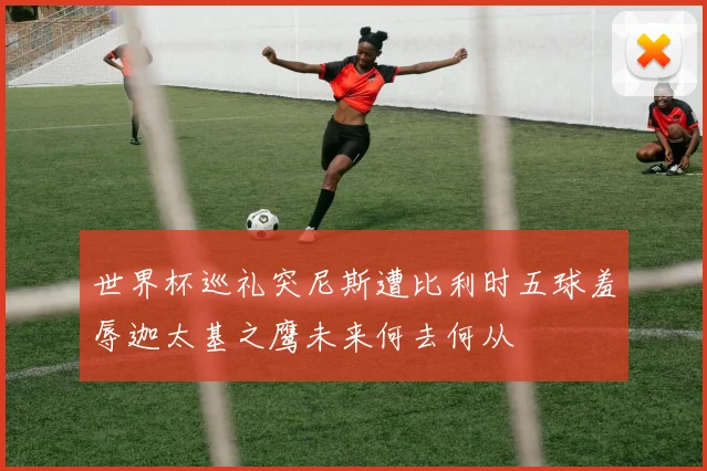世界杯巡礼突尼斯遭比利时五球羞辱迦太基之鹰未来何去何从