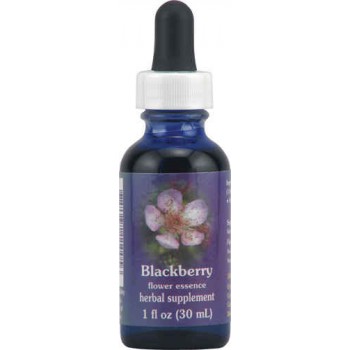 Flower Essence Blackberry Dropper -- 1 fl oz