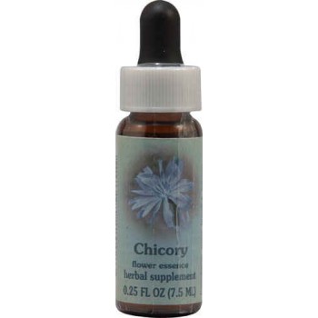 Flower Essence Chicory Supplement Dropper -- 0.25 fl oz