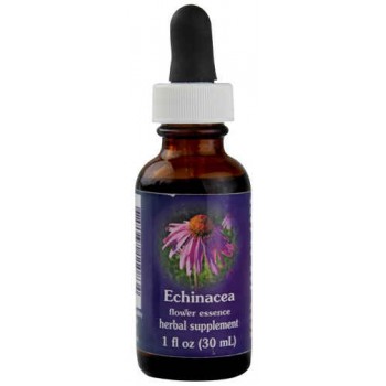Flower Essence Echinacea Herbal Supplement -- 1 fl oz