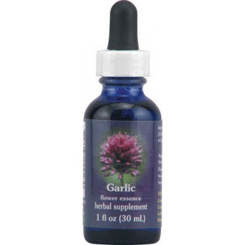 Flower Essence FES Quintessentials™ Garlic Herbal Supplement Drops -- 1 fl oz