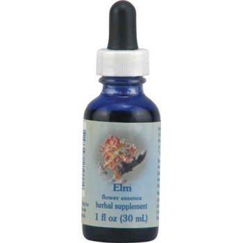 Flower Essence Healing Herbs® Elm Dropper -- 1 fl oz