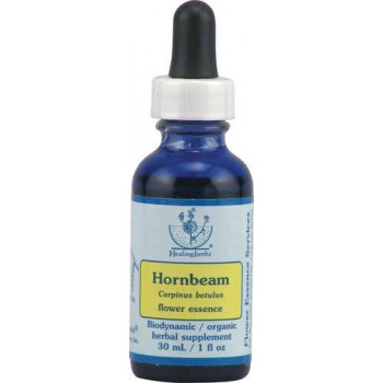 Flower Essence Healing Herbs® Hornbeam Dropper -- 1 fl oz