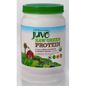Juvo RAW Green Protein 100% Vegan Organic Blend -- 16.9 oz
