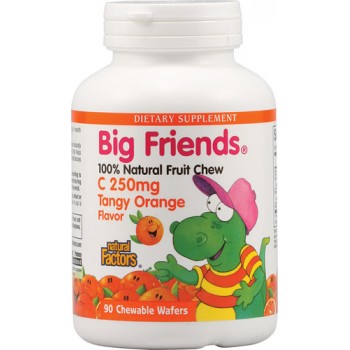 Natural Factors Big Friends® Chewable Vitamin C Tangy Orange -- 250 mg - 90 Chewable Tablets