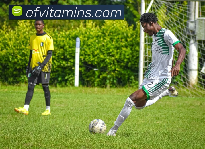 平台展示图